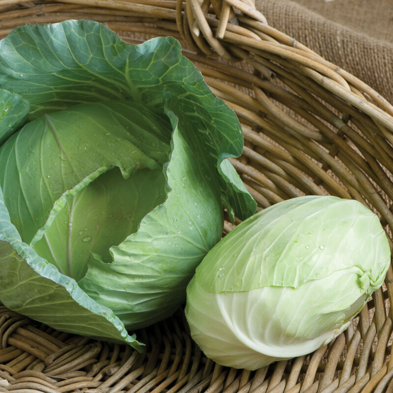 Sweet & Tender Cabbage