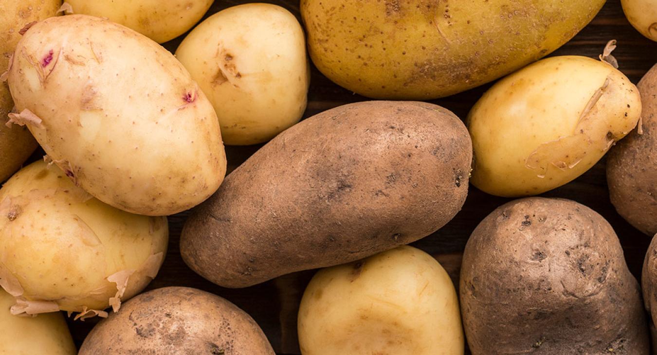 Floridana Gold Potatoes