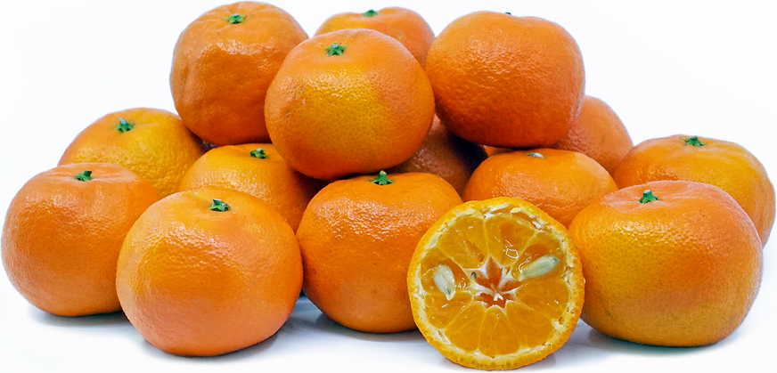 Algerian Tangerines