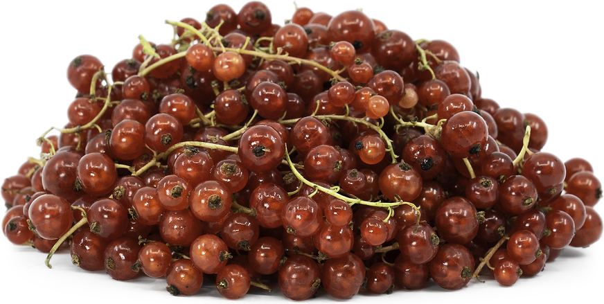 Red Currants