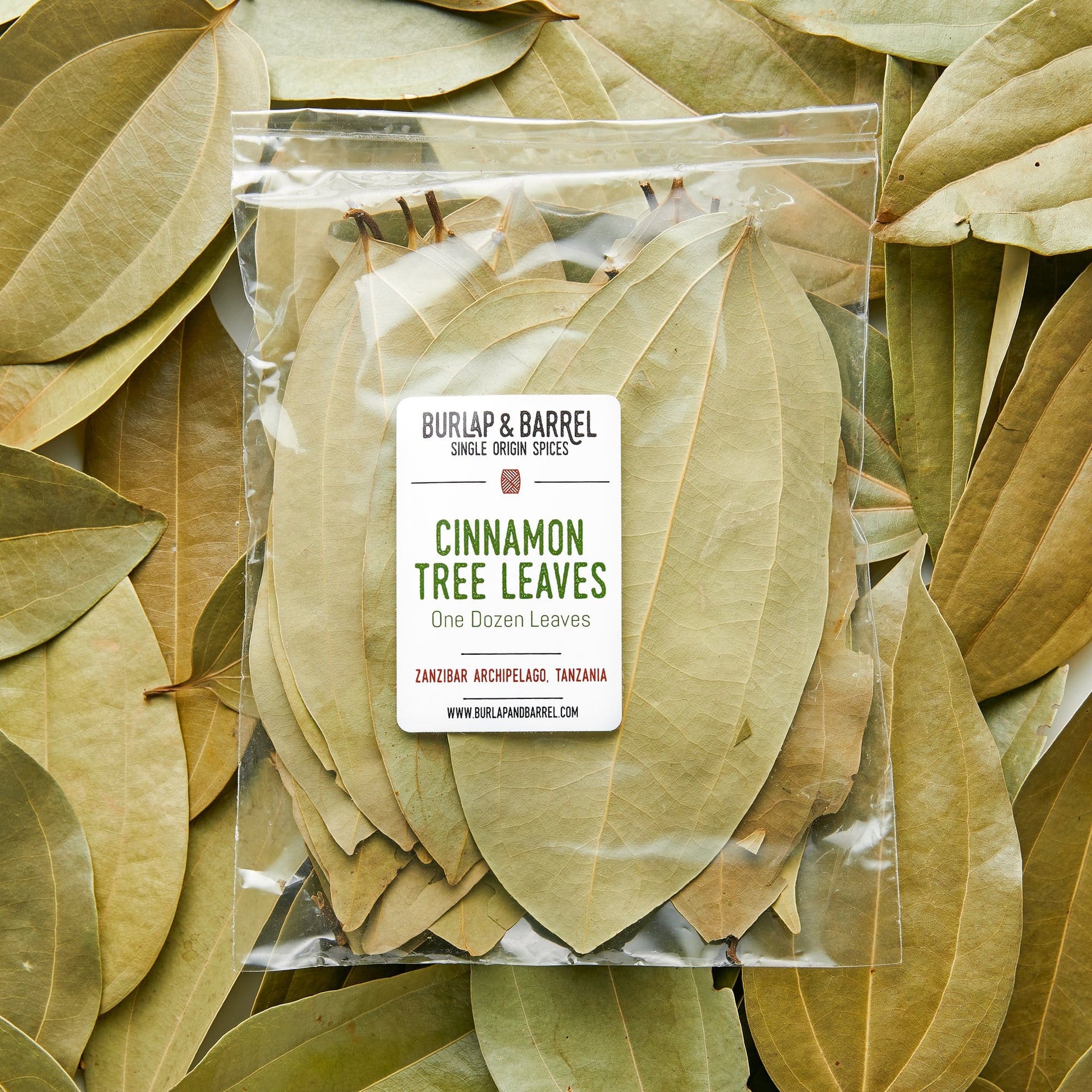 Cinnamon Verum Tree Leaves (12ct)