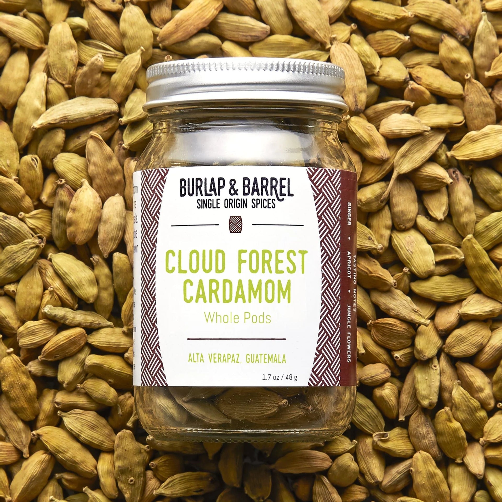 Cloud Forest Cardamom Seed (16 oz)