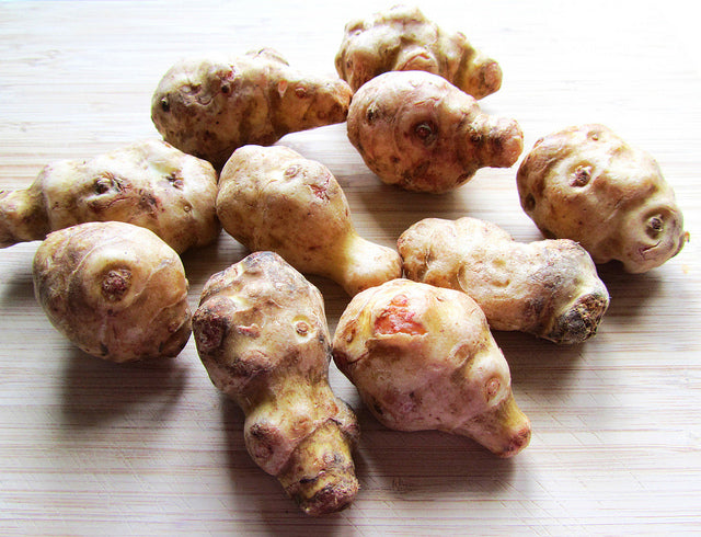 White Jerusalem Artichoke