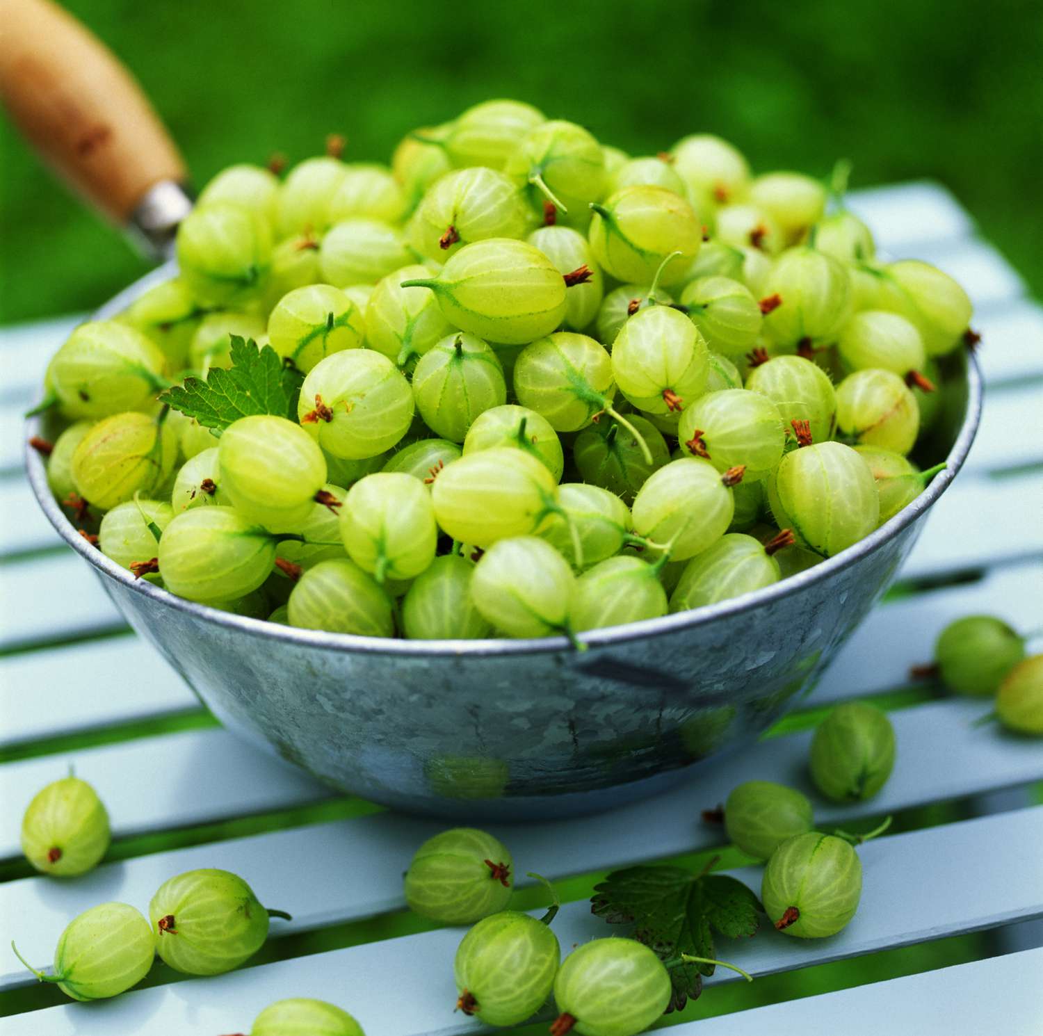 Green Gooseberries
