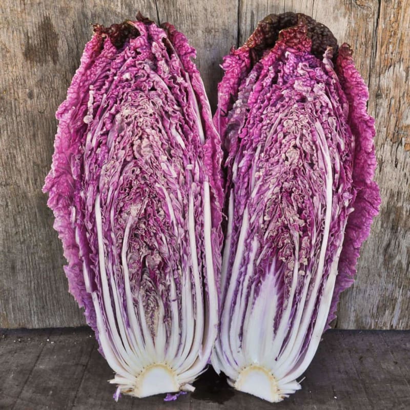 Merlot Napa Cabbage