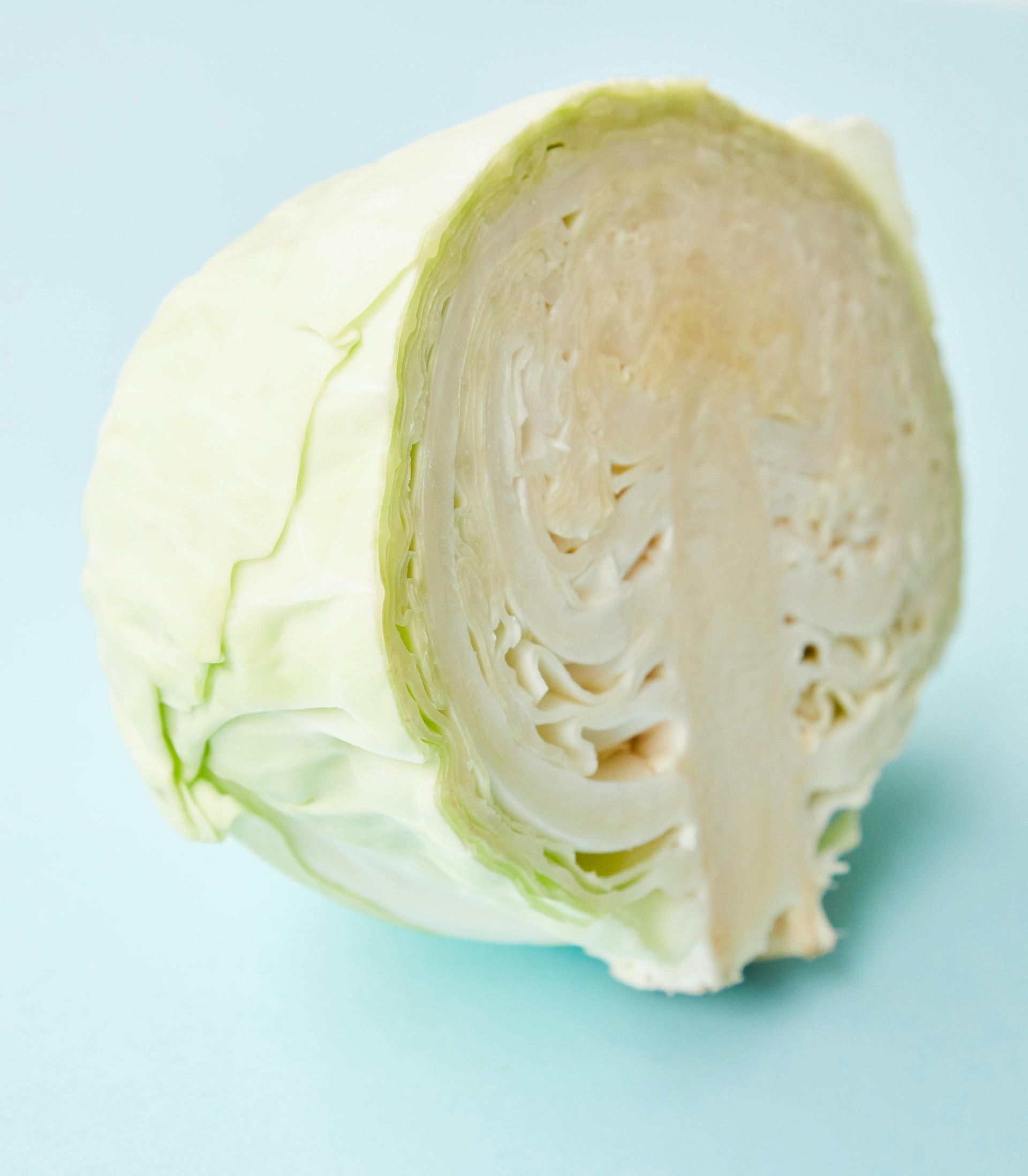 Taiwanese Flat Cabbage